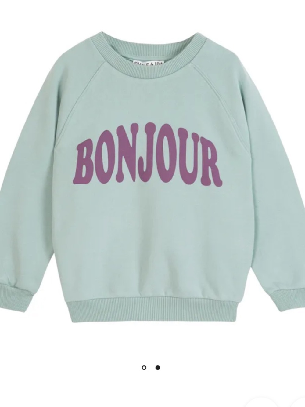 Emile at Ida Mint Green 'BONJOUR' Crewneck Sweatshirt with Purple Graphic